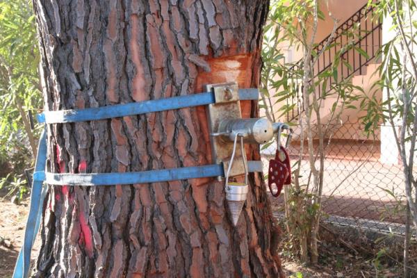 Un winch permet de maitriser parfaitement la descente des gros branches très lourdes